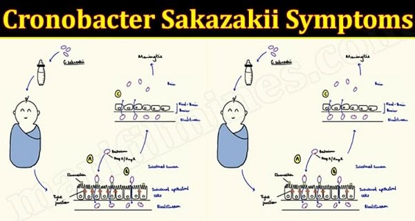 Cronobacter Sakazakii Symptoms