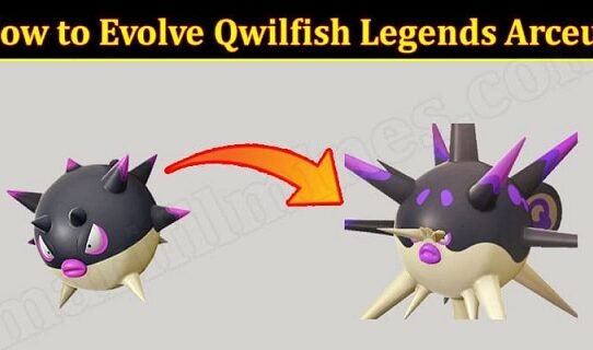 Gaming-News-How-to-Evolve-Qwilfish-Legends-Arceus