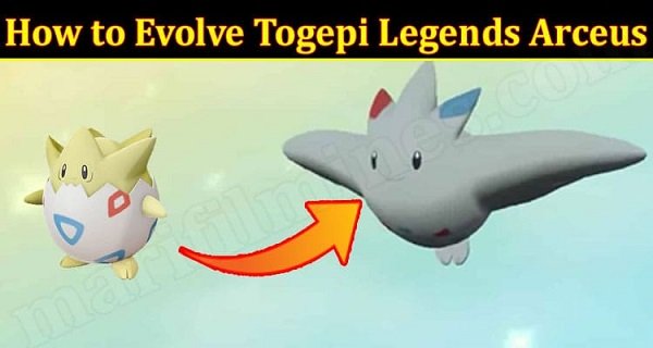 Gaming-News-How-to-Evolve-Togepi-Legends-Arceus (1)