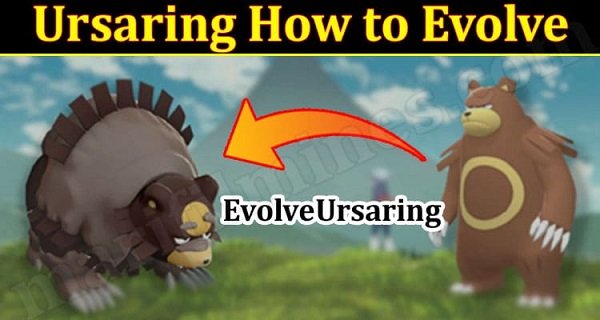 Ursaring How to Evolve