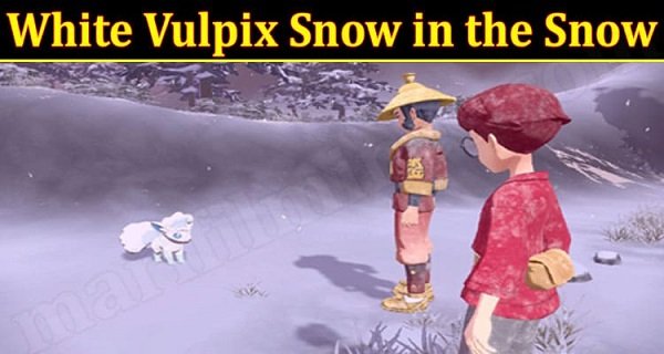 White Vulpix Snow In The Snow