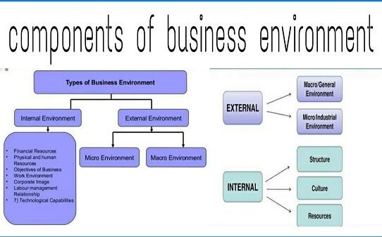 Component of Business Environment