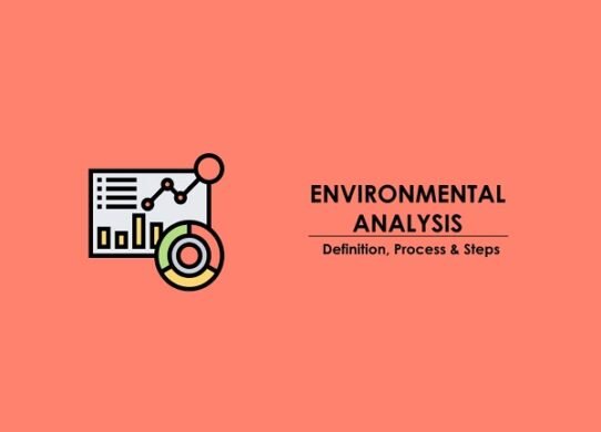 Process of Environmental Analysis