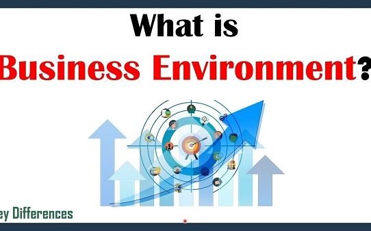 Definition of Business Environment by Authors