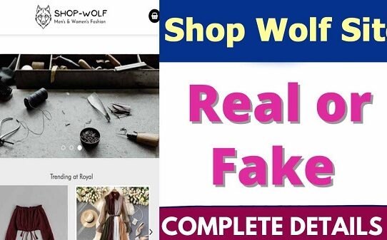 Shopwolf.in website review
